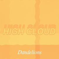 Dandelions