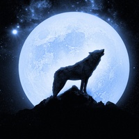 Wolf Howling