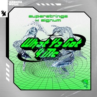 What Ya Got 4 Me - Vocal Mix