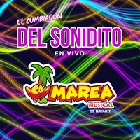 EL CUMBIASON DEL SONIDITO (Live)
