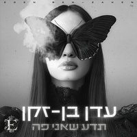 הנשיקות שלי