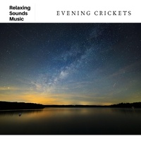 Nature Sounds Night
