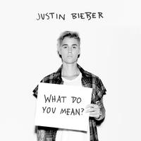 What Do You Mean? - Clock Stem