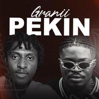 Granii pekin
