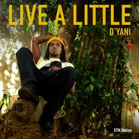 Live a Little - ACOUSTIC MIX