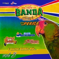 Pellizcando El Animal