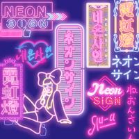 Neon Sign (20 Version)