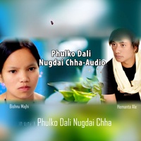 Phulko Dali, Lok Dohori Song
