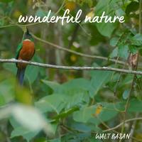 wonderful nature