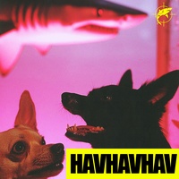 HAVHAVHAV - herkes kendini kaptırsın