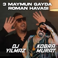 3 MAYMUN - Roman Havasi