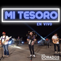 Mi Tesoro - En Vivo