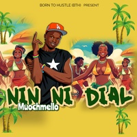 Nin ni dial