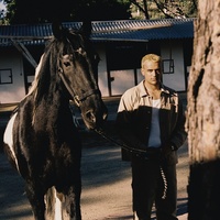 Horses