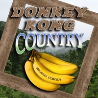 DK Island Swing
