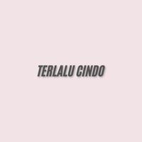 TERLALU CINDO