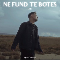 Ne fund te botes