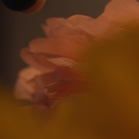 Via