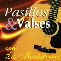 Pajarillo Errante