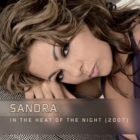 In The Heat Of The Night - Future Vision Remix / Radio Edit