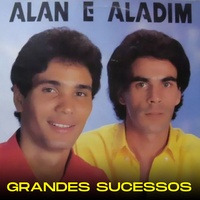 Meu Companheiro