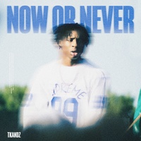 NOW OR NEVER (Slowed)