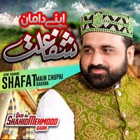 Tur Gaye Yaar Muhabbatan Wale