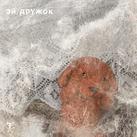 Эй, Дружок