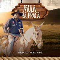 Mula na Praça
