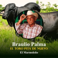Lindo Campo