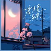 若月亮没来(DJ小祖remix)