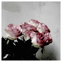 Love and Rain