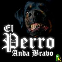 El Perro Anda Bravo