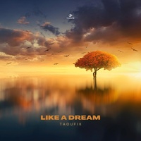 Like A Dream