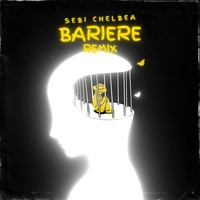 Bariere (Remix)