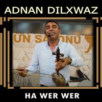 Ha Wer Wer