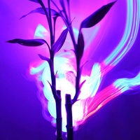 Inspiring Business Background