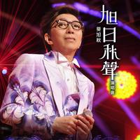 新鸳鸯蝴蝶梦 (Live)