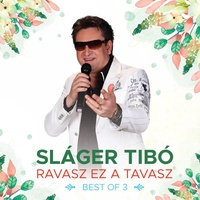 Ravasz ez a tavasz