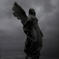 Absent Haven