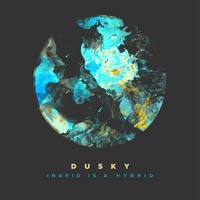 Ingrid Is A Hybrid - Radio Edit