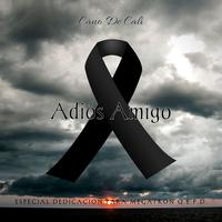 Adios Amigo