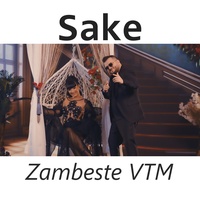 Zambeste VTM