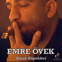 Sokak Köpekleri (Roman Havası)