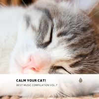 Warm Vital Relax