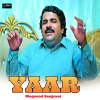 Yaar