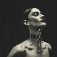 Pianos and Great Danes