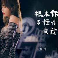 根本你不懂得爱我