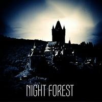 Night Forest