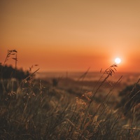 Manhã de Sol